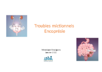 Troubles mictionnels Encoprésie (Dr Desvignes)